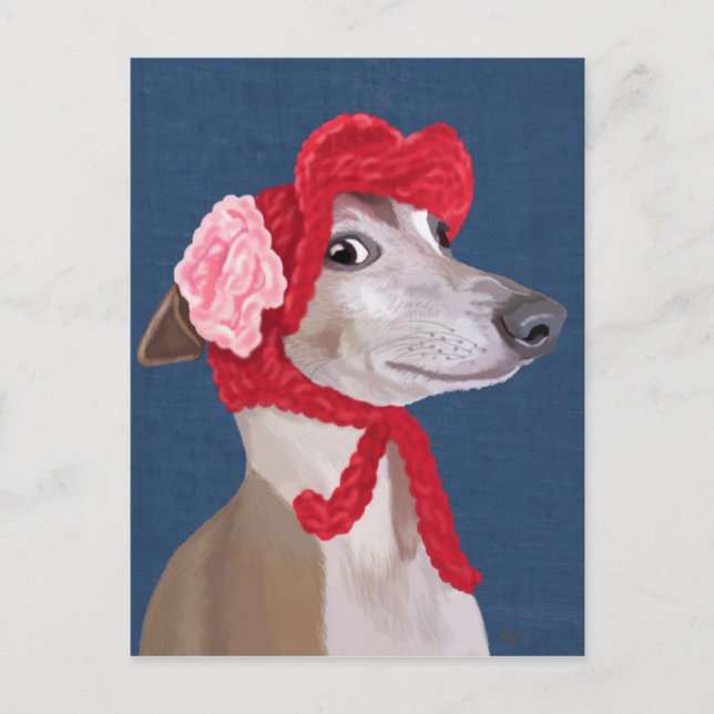Greyhound with Red Woolly Hat Postcard (Front)