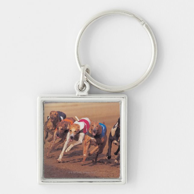 Greyhounds racing on track keychain (Front)