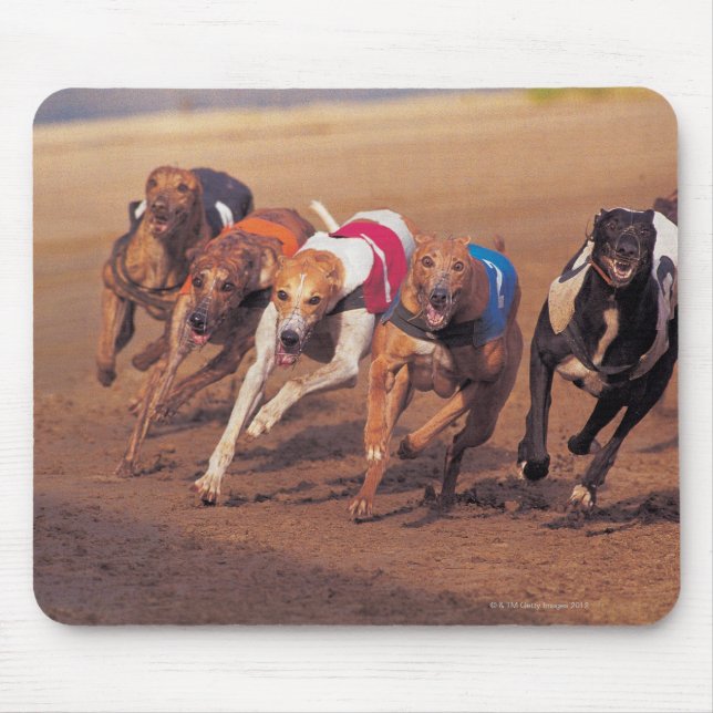 Greyhounds racing on track mouse pad (Front)