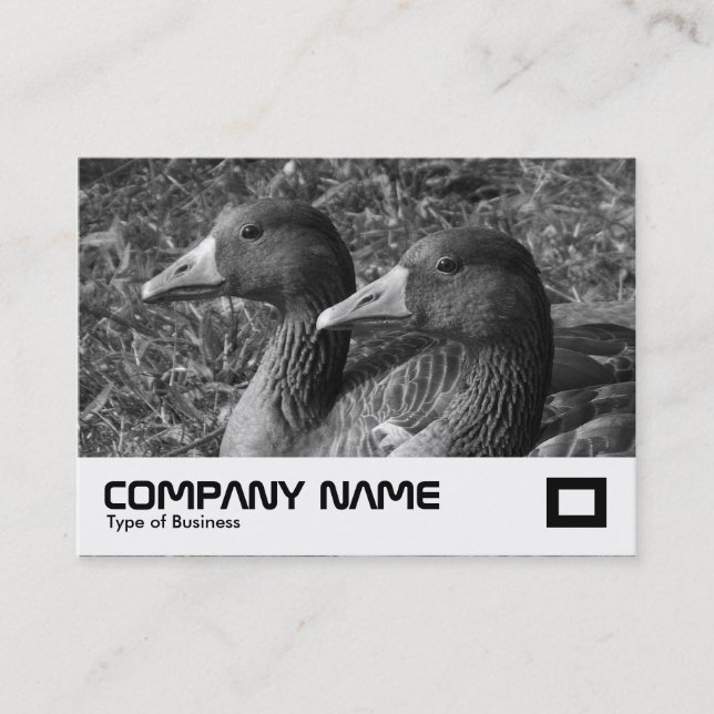 Greylag Geese B&W Business Card (Front)