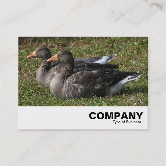 Greylag Geese Business Card (Front)