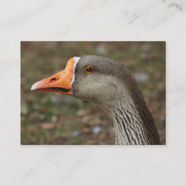 Greylag Swan Goose Cross Business Card (Front)