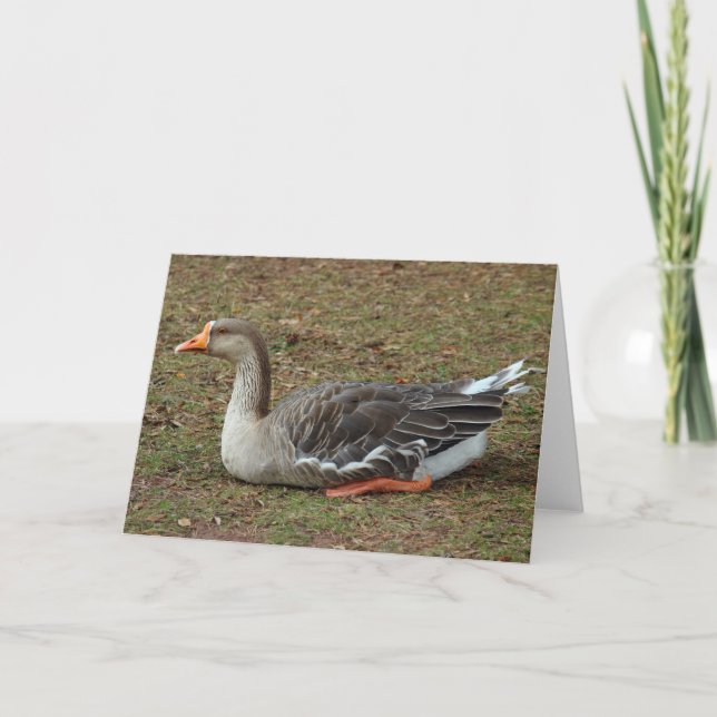 Greylag Swan Goose Cross Card (Front)