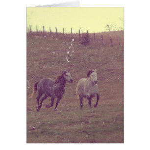Greys Gallop Grunge