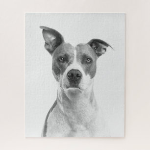 Greyscale Short Haired Dog in Black and White Jigsaw Puzzle
