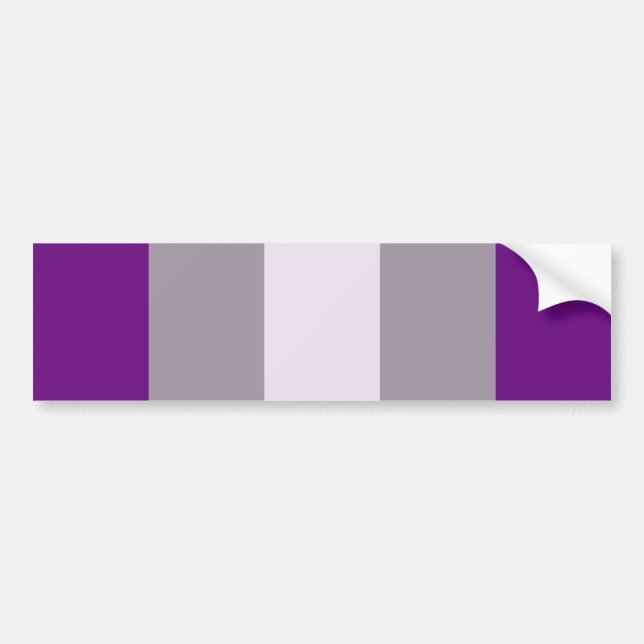 Greysexual Pride Bumper Sticker (Front)