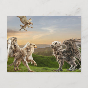 Griffin Gryphon Mythology  Postcard