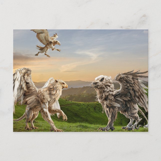 Griffin Gryphon Mythology  Postcard (Front)