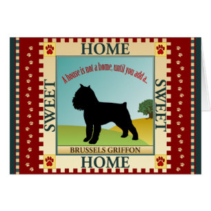 Griffon de Bruxelles