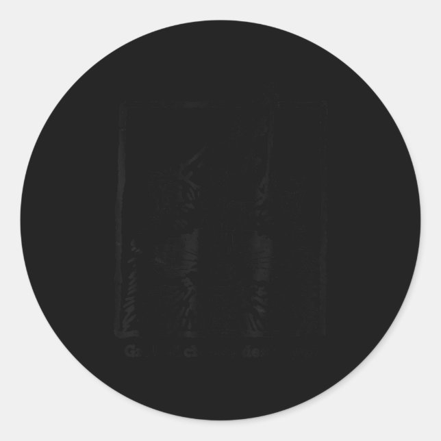 Grilled Cheese Destroyer Funny Raccoon Meme  Classic Round Sticker (Front)