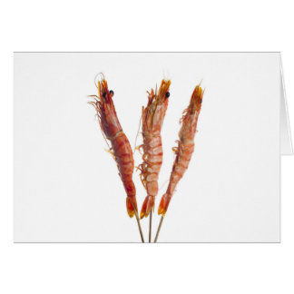 Grilled tiger prawn on a skewer