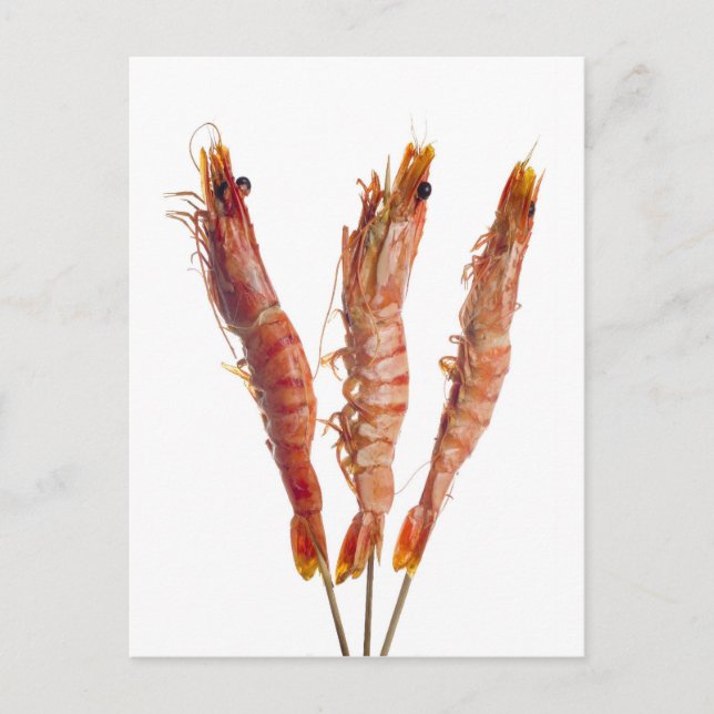 Grilled tiger prawn on a skewer postcard (Front)