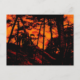 Grim Reaper in Scary Orange Lit Forest Postcard