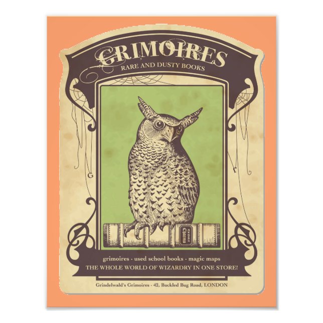 Grimoires Owl Photo Print (Front)