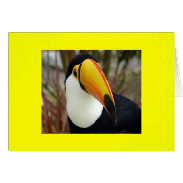 GRIN CHER (Devant horizontal)