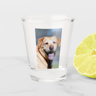 Grin Shot Glass