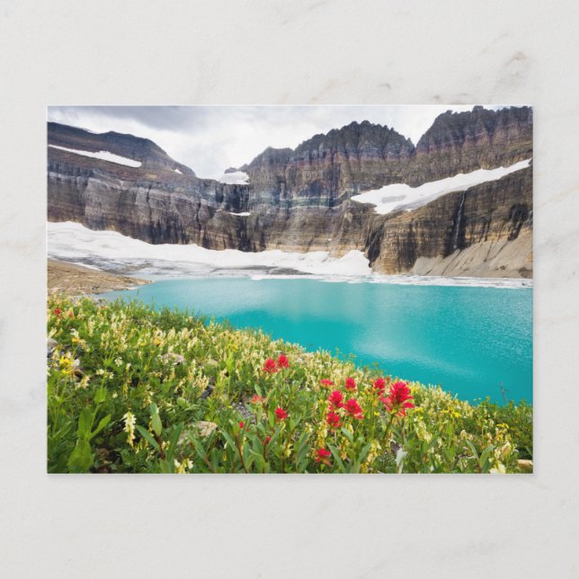 Grinnell Glacier Postcard (Front)