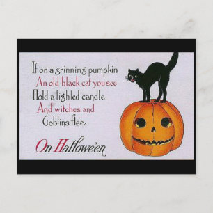 Grinning Pumpkin and Cat Postcard