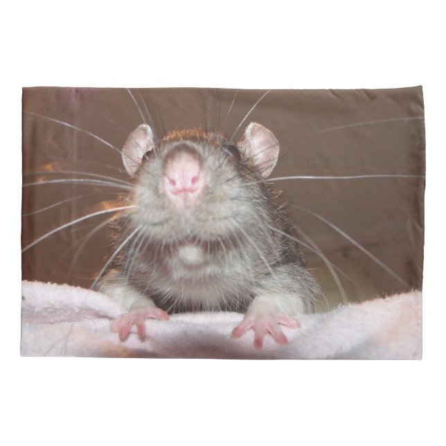 grinning rat pillow case (Back)