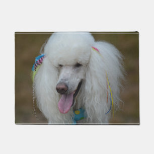 Grinning White Standard Poodle Doormat