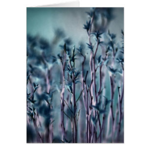 Gris bleu