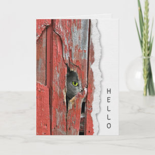 Gris Chat Dans Le Trou De Grange Bonjour Carte