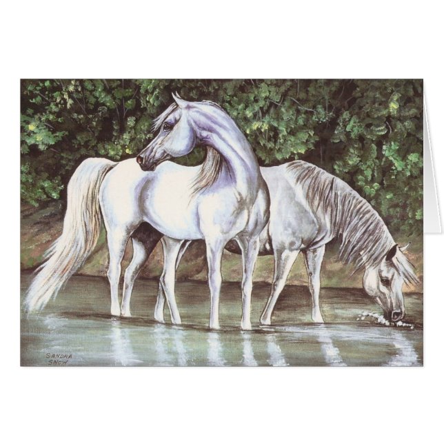 Gris dans le flux (Devant horizontal)