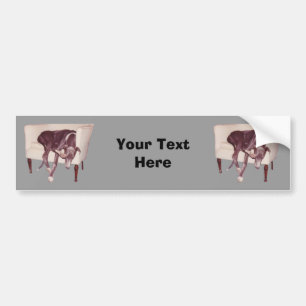 Gris Dormir Dans Chaise Drôle Sticker Bumper