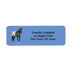 Gris Grulla Appaloosa Quartier Horse Stallion