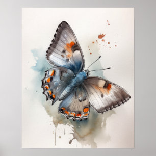 Gris Hairstreak Papillon Art Imprimer Poster