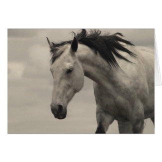 Gris Mare