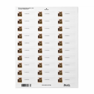 Gris tabby étiquettes de adresse de chat