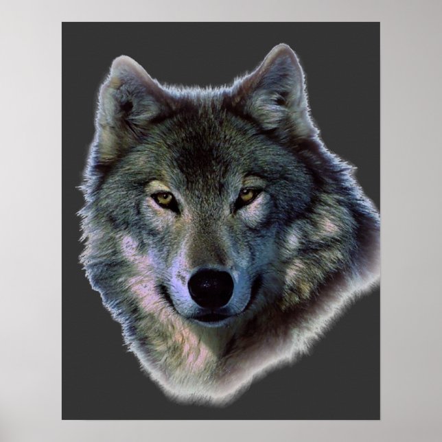 Gris Wolf Eyes Poster de l'oeuvre Imprimer (Devant)