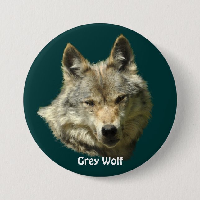 Gris Wolf Head Amateur de faune Badge de collecteu (Devant)