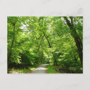 Grist Mill Trail I Postcard