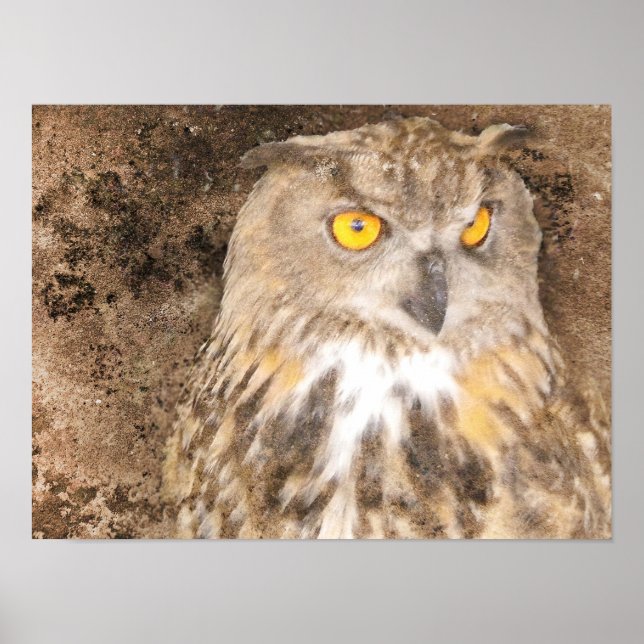 Gritty Eagle Owl Poster (Front)