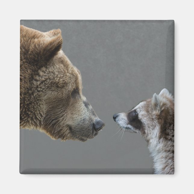 Grizzle Bear Meets Raccoon Magnet (Front)