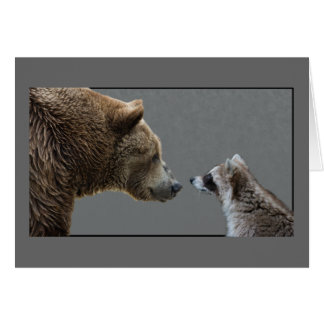 Grizzle Bear rencontre Raccoon