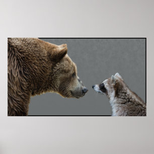 Grizzle Meets Raccoon Poster