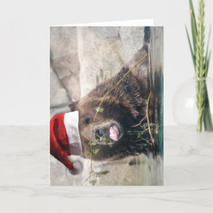 Grizzley Bear in a Santa Hat Holiday Card