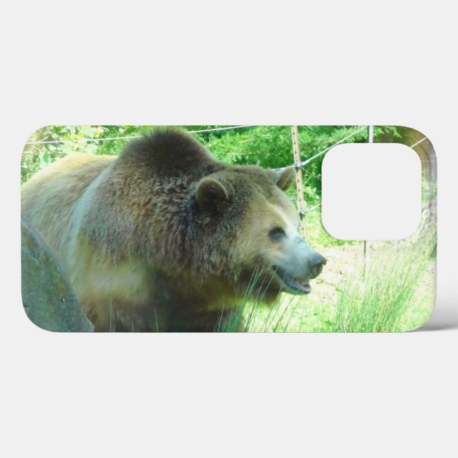 Grizzly Bear #3 iPhone 13 Pro Coque (Verso (horizontal))