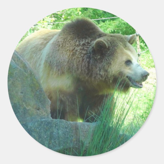 Grizzly Bear #3 Stickers (Front)