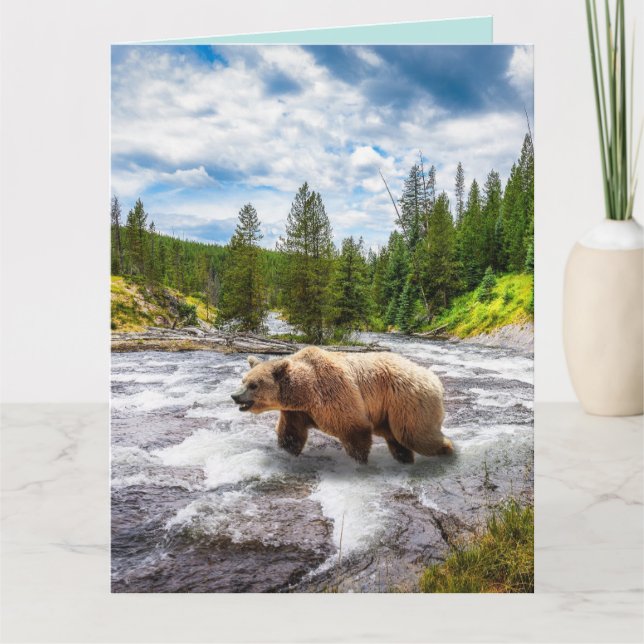 GRIZZLY BEAR ALASKA BIRTHDAY BIG GREETING CARDS (Front)
