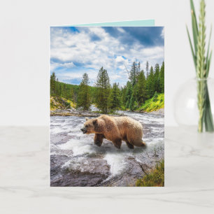 GRIZZLY BEAR ALASKA BIRTHDAY GREETING CARDS