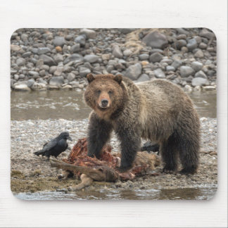 Grizzly Bear and Raven Mouse Pad