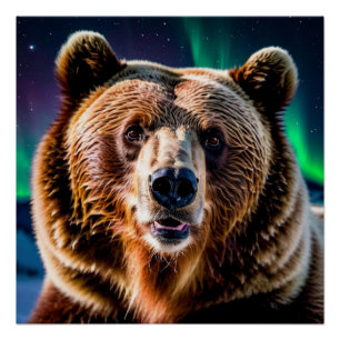 Grizzly Bear and the Northern Lights Poster