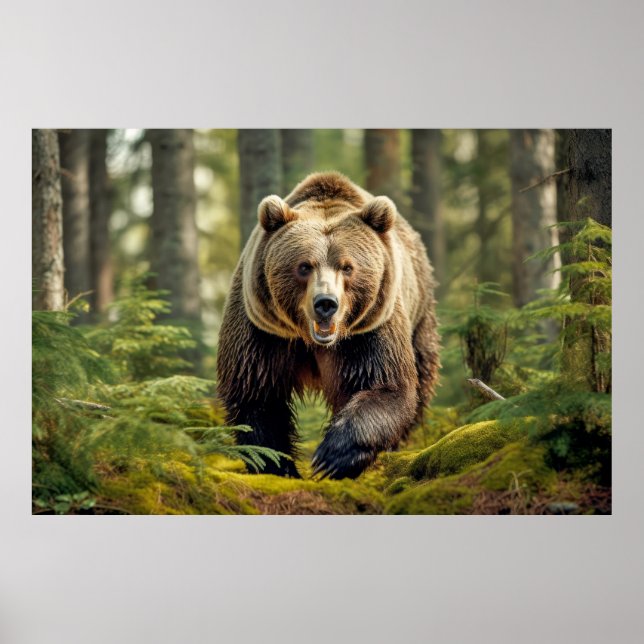 Grizzly Bear Animal Nature Majestic Wild Poster (Front)