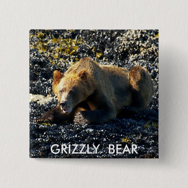 GRIZZLY BEAR ART 2 INCH SQUARE BUTTON (Front)
