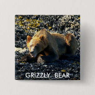 GRIZZLY BEAR ART 2 INCH SQUARE BUTTON