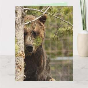 GRIZZLY BEAR BIRTHDAY GIANT GREETING CARDS